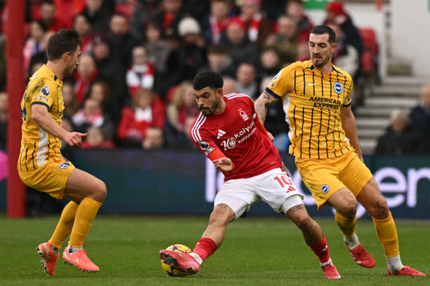 凯恩的出场 凯恩的出场