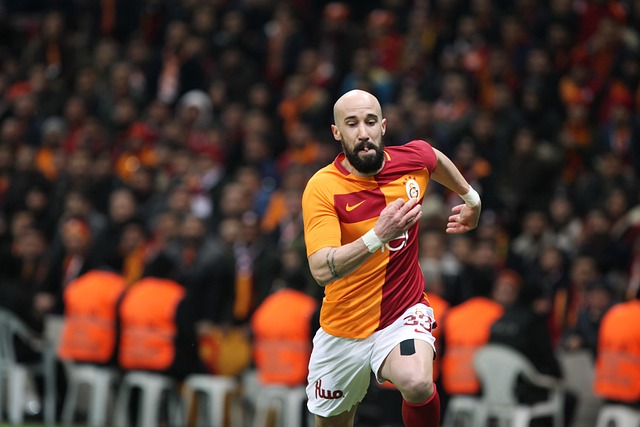 单第二轮 单第二轮