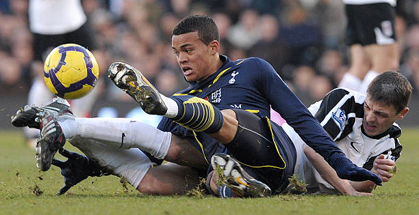 他们更注重 他们更注重